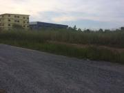 ที่ดินบ้านโพธิ์ 4 ไร่ครึ่ง ถมแล้ว ต.ลาดขวาง อ.บ้านโพธิ์ จ.ฉะเชิงเทรา -201810231706311540289191869.jpg