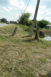 ขาย ที่ดิน บ้านหนองโก ใกล้วัดบ้านบ่อใหญ่ ถนนขอนแก่น-มหาสารคาม อ.บรบือ จ.มหาสารคาม-201912181118111576642691939.jpg