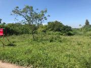 ขายที่ดิน18ไร่3งาน ขนาดพื้นที่80เมตรx360เมตร บนถนน โยธาธิการ 2068 นครราชสีมา ต.พญาเย็น อ. ปากช่อง จ.นครราชสีมา วิวเขา สวยมากๆ เหมาะสำหรับที่พักอาศัย/รีสอร์ท (รับนายหน้า)-202003311108501585627730473.jpg