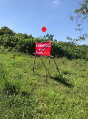 ขายที่ดิน18ไร่3งาน ขนาดพื้นที่80เมตรx360เมตร บนถนน โยธาธิการ 2068 นครราชสีมา ต.พญาเย็น อ. ปากช่อง จ.นครราชสีมา วิวเขา สวยมากๆ เหมาะสำหรับที่พักอาศัย/รีสอร์ท (รับนายหน้า)-202003311112421585627962378.jpg