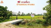 ขายที่นา-ตำบลบ้านแหวน-อำเภอหางดง-เช