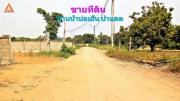 ขายที่ดิน-บ้านน้ำบ่อเย็น-ตำบลป่าแด