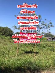 ขายที่ดิน18ไร่3งาน ขนาดพื้นที่80เมตรx360เมตร บนถนน โยธาธิการ 2068 นครราชสีมา ต.พญาเย็น อ. ปากช่อง จ.นครราชสีมา วิวเขา สวยมากๆ เหมาะสำหรับที่พักอาศัย/รีสอร์ท (รับนายหน้า)-202004230904311587607471116.jpg