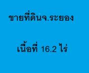 ขายที่ดินเปล่า 16.2 ไร่