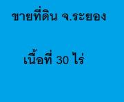 ขายที่ดินเปล่า 30 ไร่ 