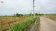 ขายที่ดิน ตำบลแม่แฝก อำเภอสันทราย จังหวัดเชียงใหม่ ติดถนนคอนกรีต-202007051718061593944286316.jpg