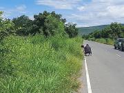 ที่ดินติดถนน พระปิยะ 24ไร่ ลพบุรี พัฒนานิคม-202009281043401601264620791.jpg