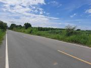 ที่ดินติดถนน พระปิยะ 24ไร่ ลพบุรี พัฒนานิคม-202009281043521601264632852.jpg