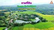 ขายที่ดิน วิวดอย ทิวทัศน์ทุ่งนา บรรยากาศดี ตำบลสะลวง อำเภอแม่ริม เชียงใหม่