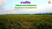 ขายที่ดิน ใกล้เทศบาลตำบลห้วยทราย ตำบลห้วยทราย อำเภอสันกำแพง จังหวัดเชียงใหม่
