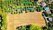 ขายที่ดิน บ้านหนองเหนี่ยงสันกำแพง ตำบลบวกค้าง อำเภอสันกำแพง จังหวัดเชียงใหม่