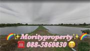 ขายที่ดิน ต.บางซ่อน อ.บ้านโพธิ์ จ.ฉะเชิงเทรา -202012221047591608608879869.jpg