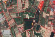 ขาย ที่ดิน ทางหลวงชนบท รย.3013 ถนนมาบยางพร อ.ปลวกแดง จ.ระยอง-202101121305031610431503968.jpg