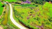 ขายที่ดิน บ้านหนองไคร้ ตำบลหนองตอง อำเภอหางดง จังหวัดเชียงใหม่