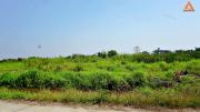 ขายที่ดิน บ้านหนองไคร้ ตำบลหนองตอง อำเภอหางดง จังหวัดเชียงใหม่-202102151324591613370299193.jpg