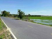 ขายที่ดิน บางบัวทอง จ.นนทบุรี 93-1-20 ไร่ อ.บางบัวทอง จ.นนทบุรี*ขายด่วน*