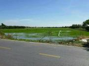 ขายที่ดิน บางบัวทอง จ.นนทบุรี 93-1-20 ไร่ อ.บางบัวทอง จ.นนทบุรี*ขายด่วน*-202102271224481614403488765.jpg