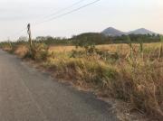 ขายที่ดิน อ.พนัสนิคม ชลบุรี 47-1-52ไร่ อ.พนัสนิคม จ.ชลบุรี*ขายถูก+ด่วน*-202102271229551614403795596.jpg