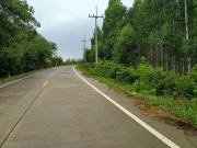 ขายที่ดิน ต.หนองปรือ อ.พนัสนิคม จ.ชลบุรี 17-3-59ไร่ ไร่ละ 2200000บาท*ขายถูก+ด่วน*