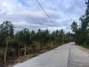 ขายที่ดิน ใกล้สวนเสือศรีราชา ต.เขาคันทรง อ.ศรีราชา จ.ชลบุรี 13-3-51ไร่ *ขายถูก*-202102272151031614437463424.jpg