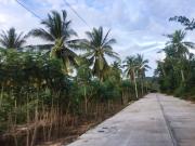 ขายที่ดิน ใกล้สวนเสือศรีราชา ต.เขาคันทรง อ.ศรีราชา จ.ชลบุรี 13-3-51ไร่ *ขายถูก*-202102272151441614437504485.jpg