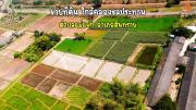 ขายที่ดิน ใกล้คลองชลประทาน ตำบลแม่แฝก อำเภอสันทราย จังหวัดเชียงใหม่