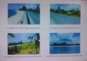 Land 40 Rai for sale at Chalatat Beach , Songklที่ดิน 40 ไร่ 1งาน 12 ตารางวา ติดชายหาดชลาทัศน์ ต.นาทับ อำเภอจะนะ จ.สงขลา-202103082220591615216859361.jpg