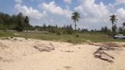 land for sale 11 Rai next to the sea at Bann Nam Kem ขายที่ดิน 11 ไร่ ติดชายทะเล บ้านน้ำเค็ม ต.บางม่วง อ.ตะก