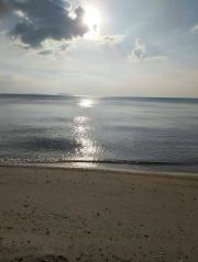 ขายที่ดิน ชลบุรี บางพระ เนื้อที่ 9ไร่ ต.แสนสุข อ.เมือง จ.ชลบุรี*ขายถูกด่วน*-202103172235021615995302398.jpg