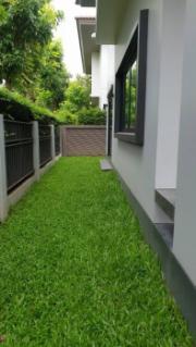 [Duplicate]ขาย บ้านเดี่ยว บ้านเดี่ยว เศรษฐศิริ วงแหวน- ลำลูกกา 221 ตรม. 64.6 ตร.วา .-202103180901031616032863497.jpeg