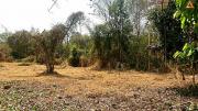 ขายที่ดิน ใกล้ถนนใหญ่ ตำบลดอนแก้ว อำเภอแม่ริม จังหวัดเชียงใหม่-202103181704421616061882110.jpg