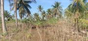 ขายที่ดิน ชลบุรี เขาไม้แก้ว เนื้อที่ 15ไร่ อ.บางละมุง จ.ชลบุรี*ขายถูก*-202103200205531616180753181.jpg