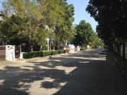 ขายบ้านเดี่ยวในโครงการบ้าoบูลลากูน BlueLagoon วงแหวน-บางนา  ติดถนนวงแหวนกาญจนาภิเษก ใกล้ห้างเมกาบางนา -202103270946111616813171026.jpg