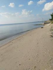 ขายที่ดินชลบุรี บางพระ มีชายหาดส่วนตัว เนื้อที่ 9ไร่ แถมที่งอก 1 ไร่*ขายถูกด่วน*-202104032341301617468090951.jpg