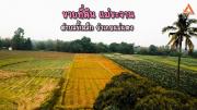 ขายที่ดิน-แม่ขะจาน-ตำบลขี้เหล็ก-อำเ