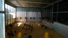 ขายบ้าน 1 ชั้นพร้อมฟาร์มไก่ ในอำเภอพนัสนิคม จังหวัดชลบุรี เจ้าของขายเอง-202106201927011624192021856.jpg