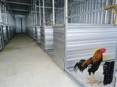 ขายบ้าน 1 ชั้นพร้อมฟาร์มไก่ ในอำเภอพนัสนิคม จังหวัดชลบุรี เจ้าของขายเอง-202106201927071624192027448.jpg