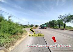 ขาย ที่ดิน ไทรน้อย คลองขุนศรี  8-1-50 ไร่ เหมาะทำโรงงาน โกดัง คลังสินค้า-202107051221251625462485672.jpeg