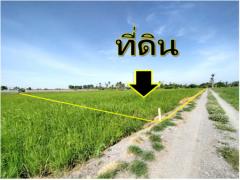 ขาย ที่ดิน ไทรน้อย คลองขุนศรี  8-1-50 ไร่ เหมาะทำโรงงาน โกดัง คลังสินค้า-202107051221271625462487372.jpeg