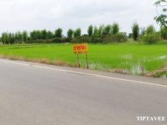 00019 ขายที่ดินเชียงใหม่ บวกค้าง สันกำแพง เชียงใหม่ Sale Land Near Wat Rang Kongkhao, Sankampheang, Chiangmai, THAILAND.