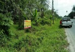 ขายที่ดิน ติดถนนบ้านตาล-ลานสกา ตำบลท่างิ้ว อำเภอเมือง นครศรีธรรมราช