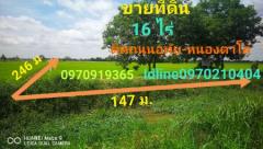 ขาย ที่ดิน ติดถนนอุทัย-หนองตาโล่ 16 ไร่ อ.อุทัย จ.พระนครศรีอยุธยา-202109112121441631370104403.jpeg