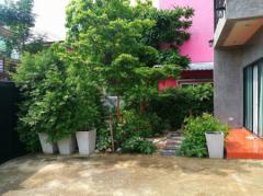 (ด่วน)ขายถูกมาก!!-บ้านเดี่ยว-สไตล์-Loft-ซ