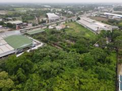 ายที่ดิน ต.ธรรมศาลา อ.เมืองนครปฐม—ติดถนนเพชรเกษม กว้าง 8 เลน (แหล่งสร้าง Showroom อ.เมืองนครปฐม) 9-1-38 ไร่ หน้ากว้างติดถนน 60 m.-202109131549031631522943693.jpeg