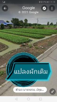 ขาย ที่ดิน ติดถนนคอนกรีต 6เมตร 1 ไร่ 29 ตร.วา บางหลวง เมืองปทุมธานี-202109191622031632043323275.jpeg