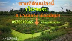 ขาย ที่ดิน ติดถนนคอนกรีต 6เมตร 1 ไร่ 29 ตร.วา บางหลวง เมืองปทุมธานี-202109191622061632043326265.jpeg