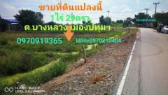 ขาย ที่ดิน ติดถนนคอนกรีต 6เมตร 1 ไร่ 29 ตร.วา บางหลวง เมืองปทุมธานี-202109191622061632043326849.jpeg