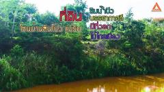 ขายที่ดิน-ริมน้ำปิง-มีที่งอกริมตลิ