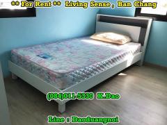 บ้านให้เช่า ลิฟวิ่งเซนส์ บ้านฉางตั้งอยู่บนถนนไปหาดพลา ตรงไปมอเตอร์เวย์-202111111602381636621358420.jpg