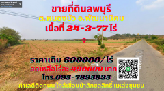 ขาย ที่ดินลพบุรี 24-3-77 ไร่ ต.หนองบัว อ.พัฒนานิคม ทำเลทองติดถนน ใกล้เขื่อนป่าสักชลสิทธิ์